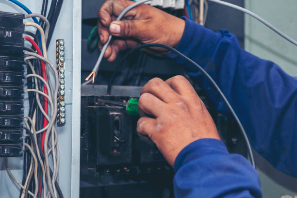 Best Licensed Electrician  in Thief River Falls, MN