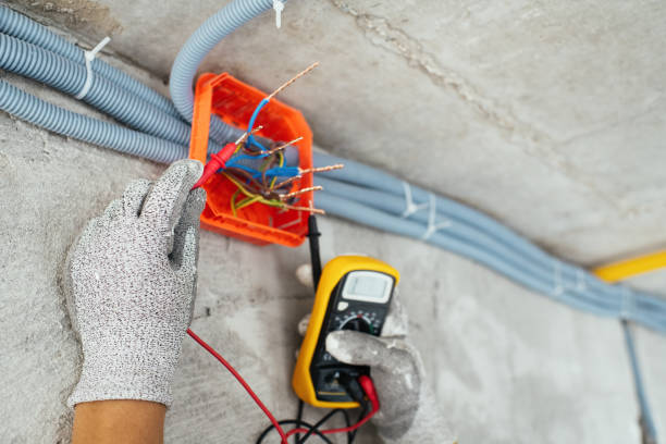 Best Licensed Electrician  in Thief River Falls, MN